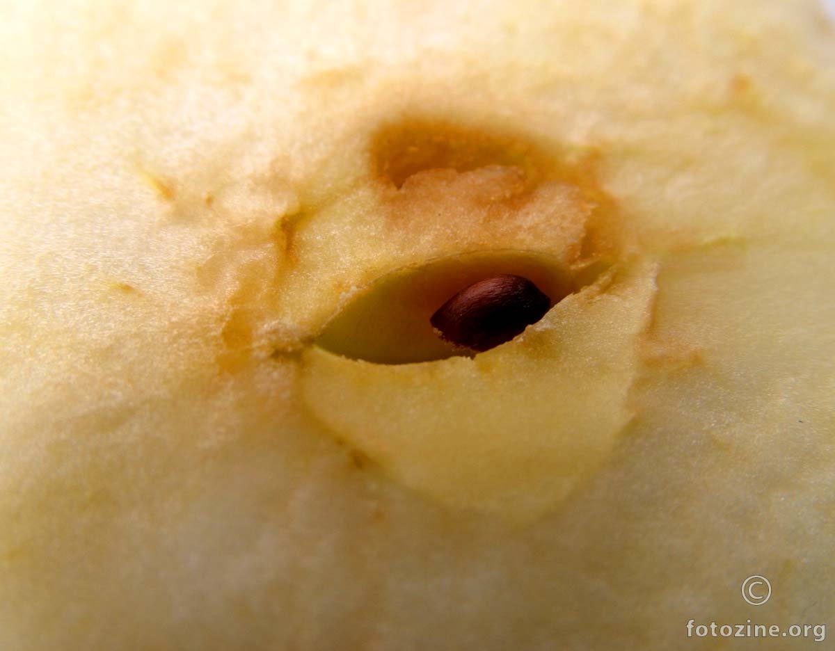 The eye of an apple