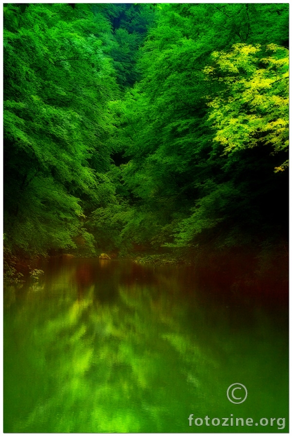 Zeleni zagrljaj rijeke