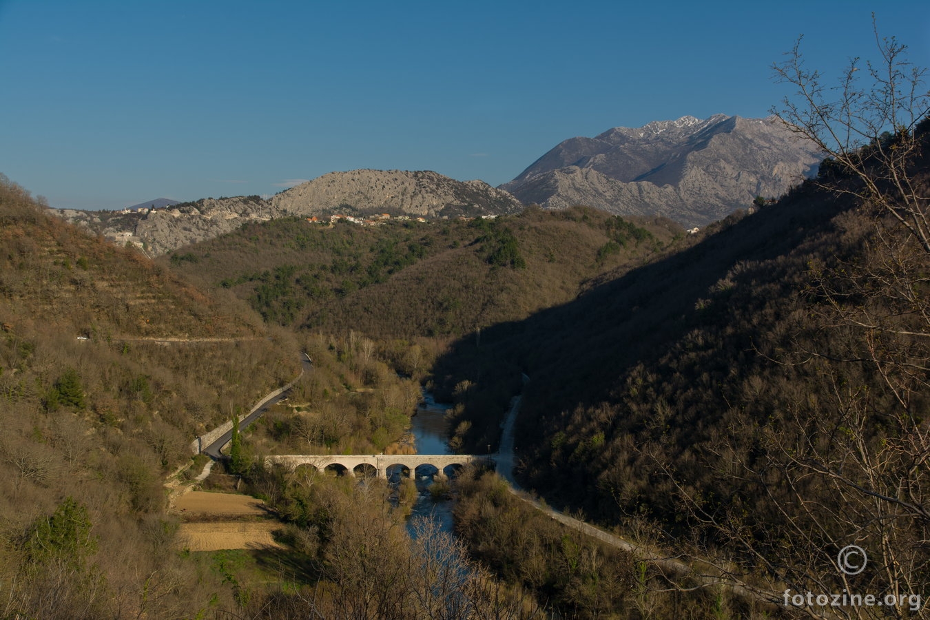 Pavića most