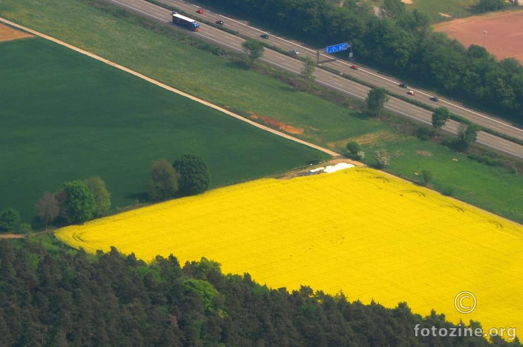 žuto-zeleno polje