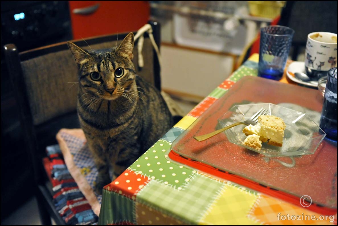 gazdariceeeeeee, ak' mi ne daš moju večeru, pojest ću tvoj kolač!
