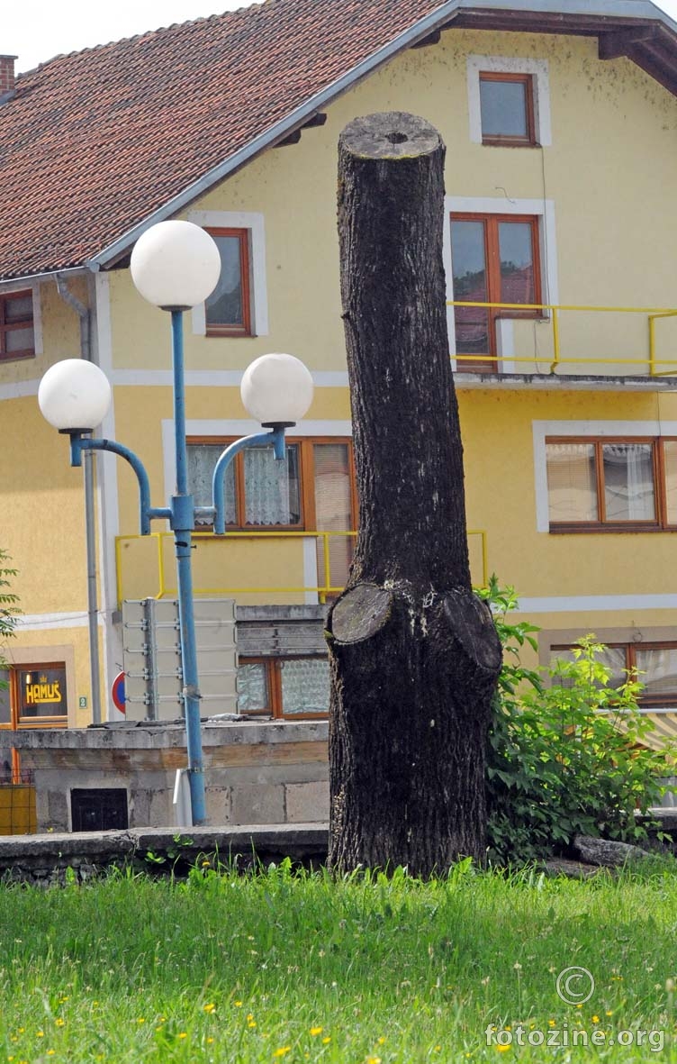 ovako bosanci obrezuju svoje drveće...