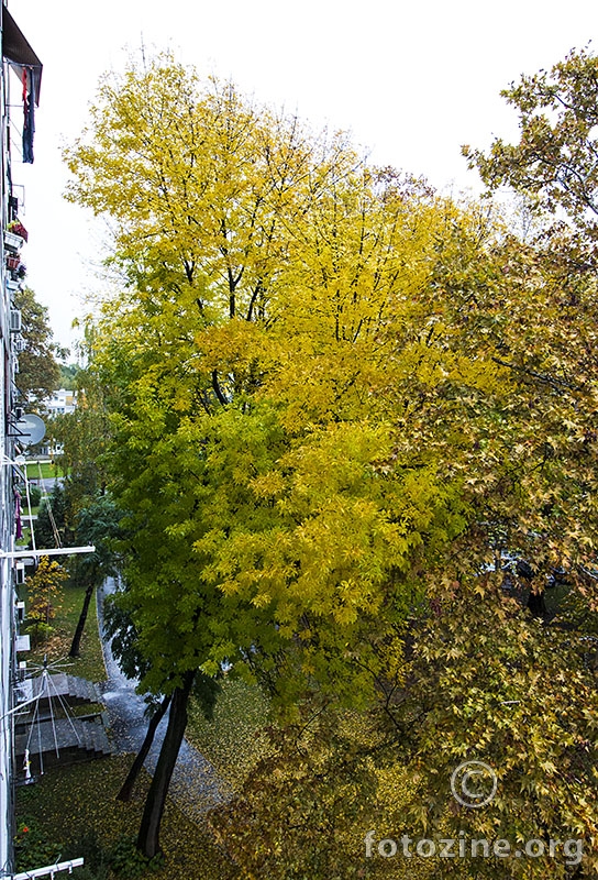 Stigla jesen