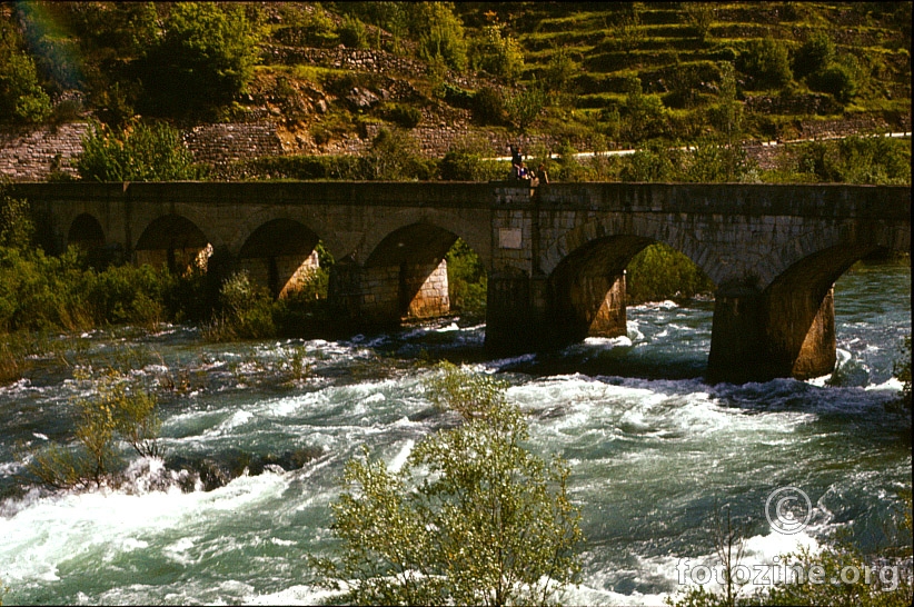 Pavica most 1978