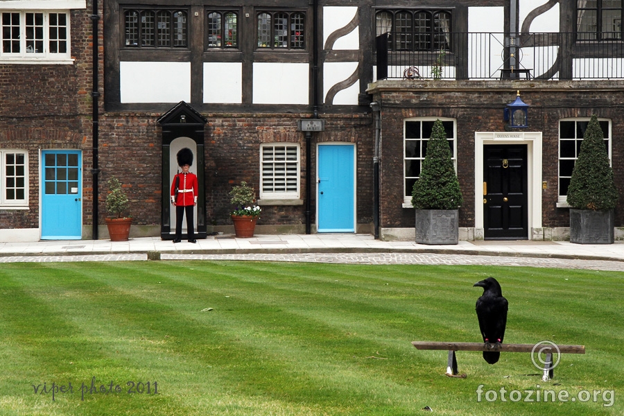 beefeater and a bird