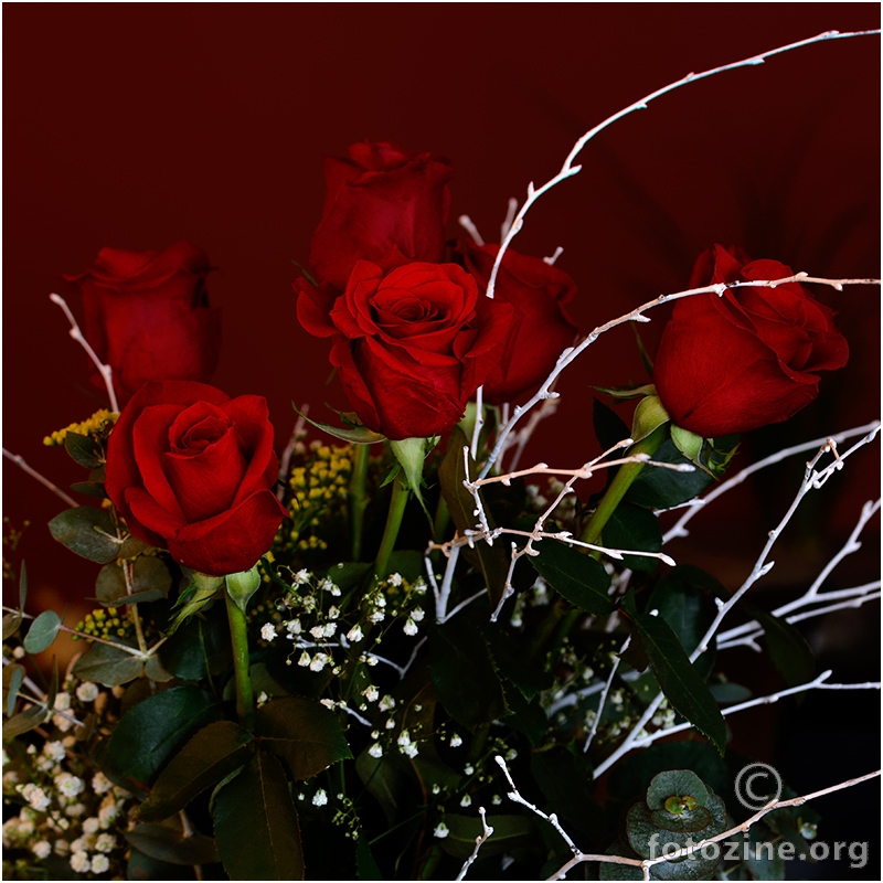 crvene ruže