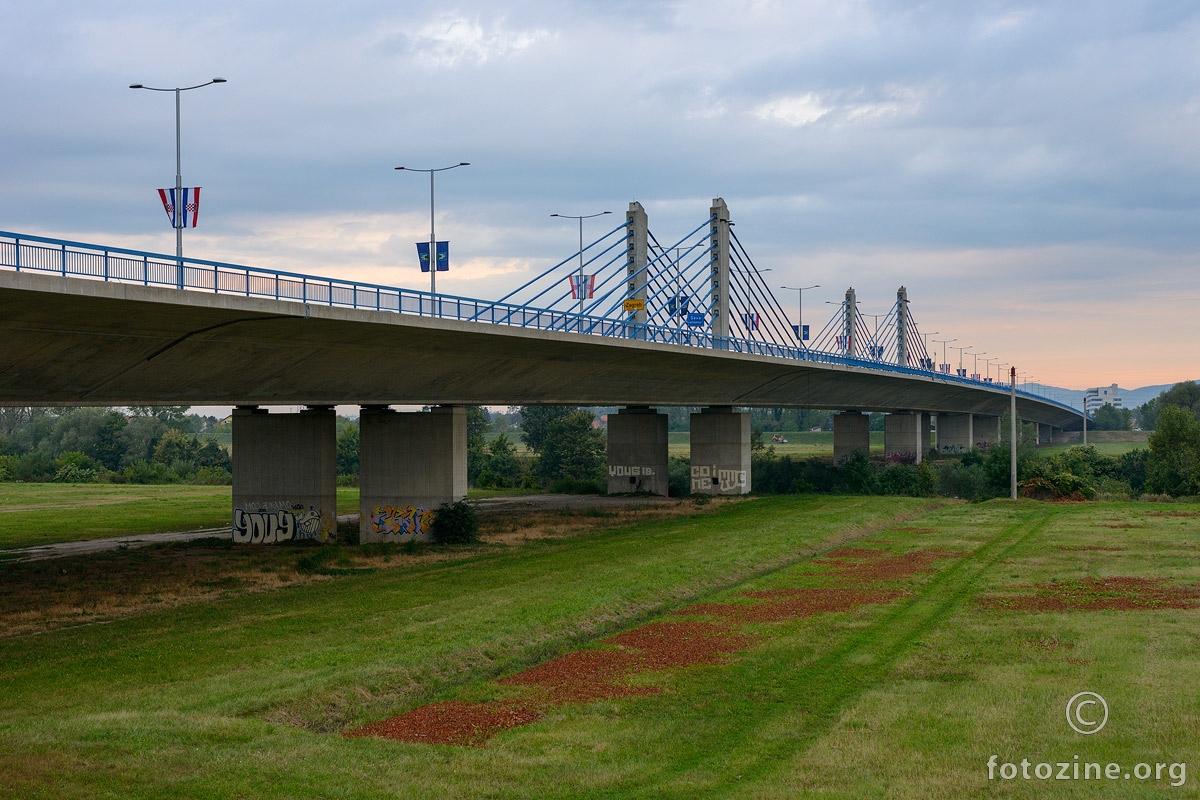 Domovinski most