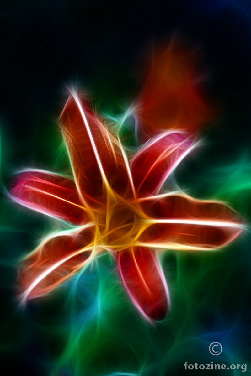 Fraktalni Cvijet I