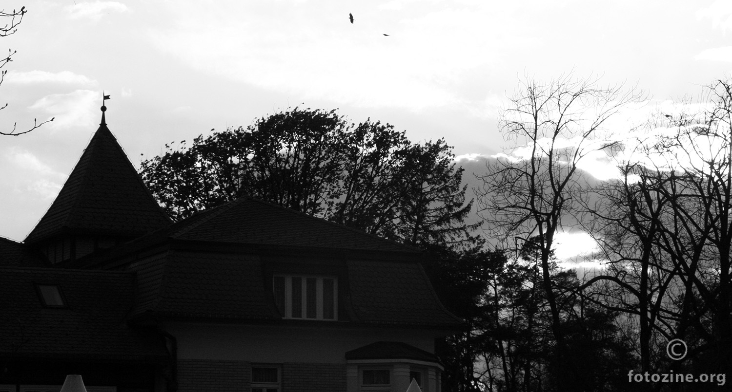 Vrane nad hotelom