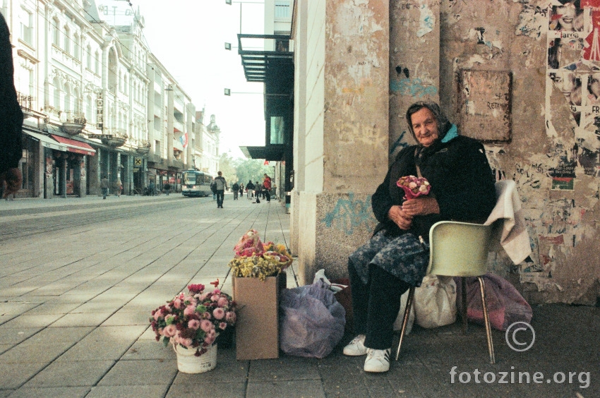 Prodavačica cvijeća iz Osijeka...