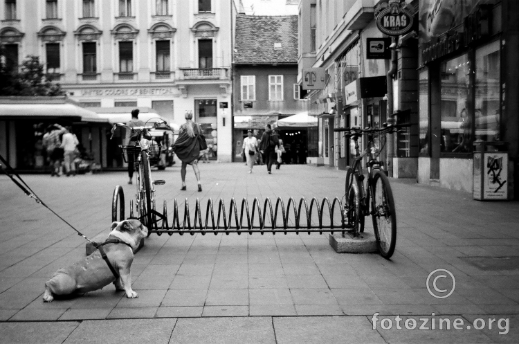 Zagreb, Cvjetni trg, 06/2015...