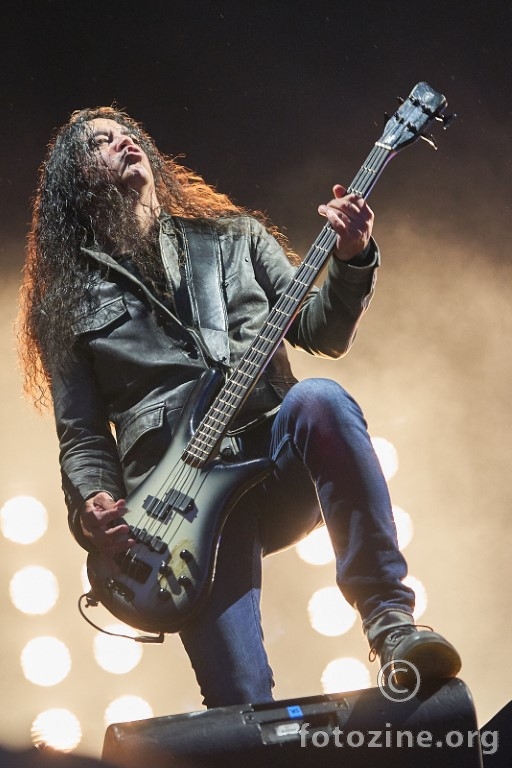 Mike Inez - Alice in Chains