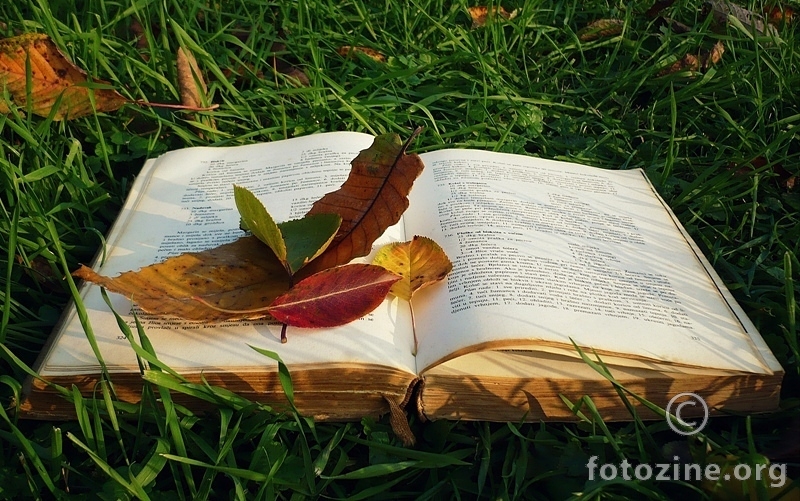 Knjiga o jeseni...