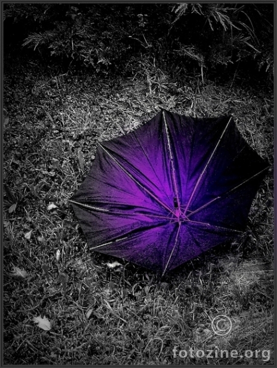 Purple Rain...