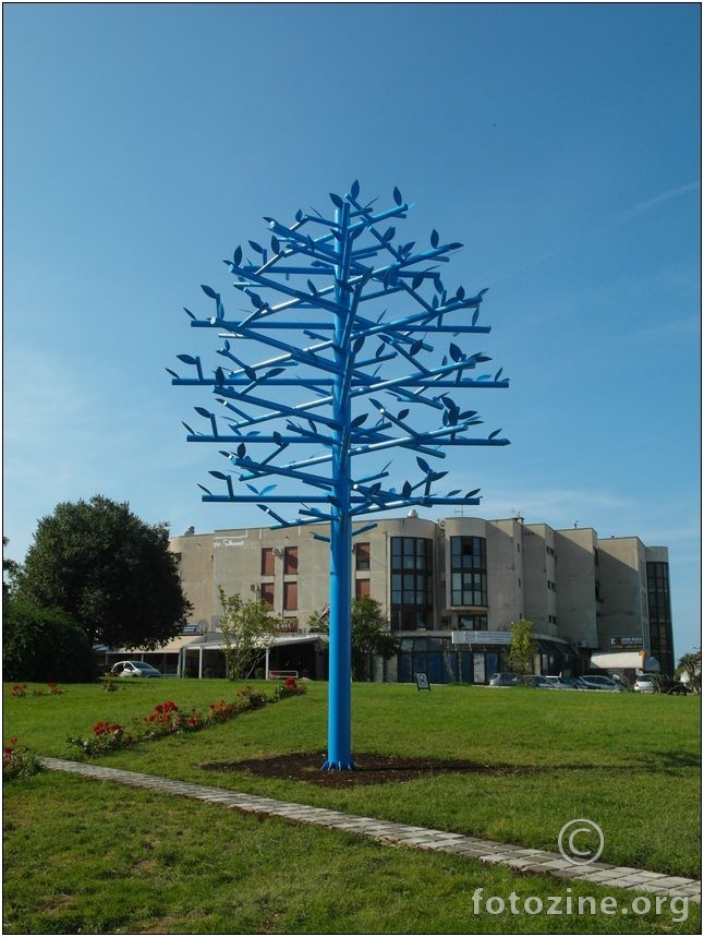 Vidio sam Plavo stablo zauvijek u Splitu