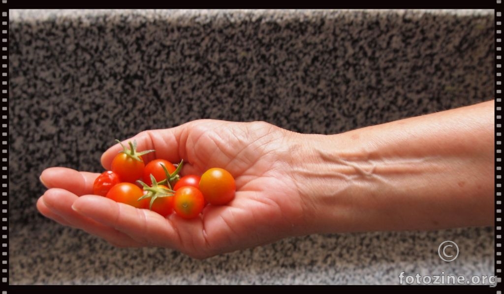 za šaku sitnih rajčica