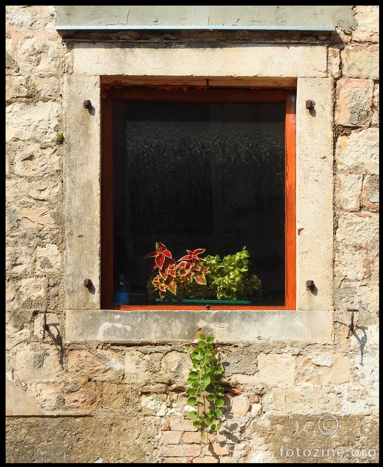 one old window of tower Cambi (2)