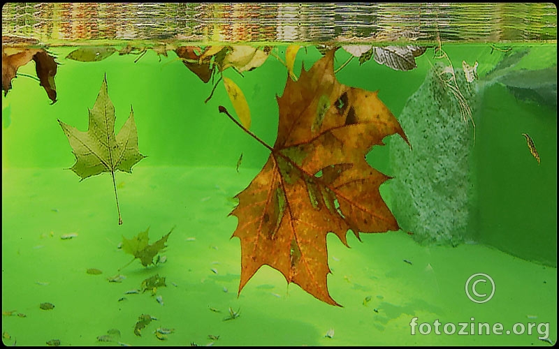 Jesen u vodi
