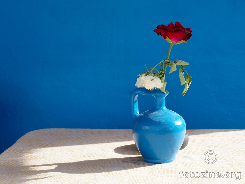 Roses in blue