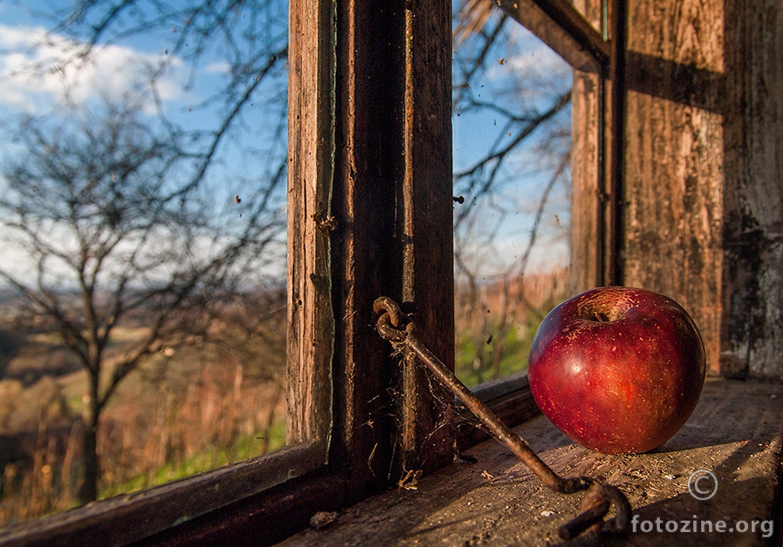 Apple in Window