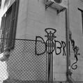 Dobri
