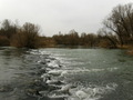 Sivi dan rijek…