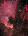 NGC 7000