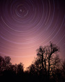 Star Trails