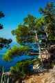 Makarska14