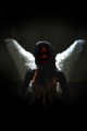 The dark angel