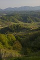 zagorje zeleno 