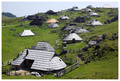 Velika planina