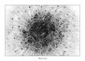 Black hole
