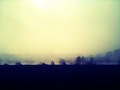 Naturalna mist…