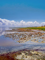 Manyara Lake