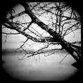 Holga Fragment