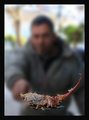 Gledano s drug…