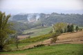 Zagorje zelene