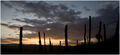 imam volje sli&hellip;