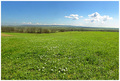 Tratinčice