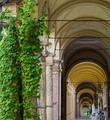 Mirogoj