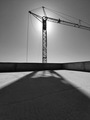 Crane Silhouet…