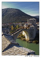 Stari M