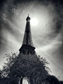 the Eiffel Tow…