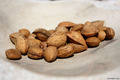 bajami