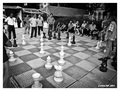 šah za kratkov…