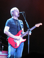 Mark Knopfler 2