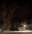 winter night 3