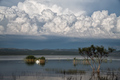 labuđe jezero