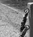 zavezana fotog…